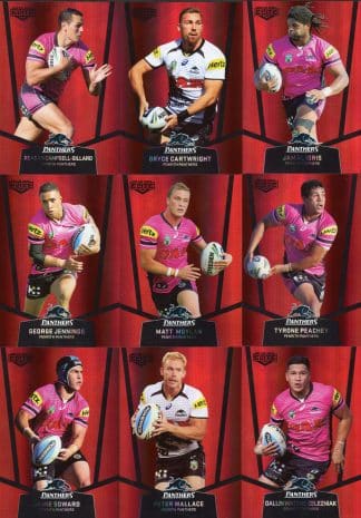 2015 NRL Elite Ruby Mojo - Penrith Panthers Team Set