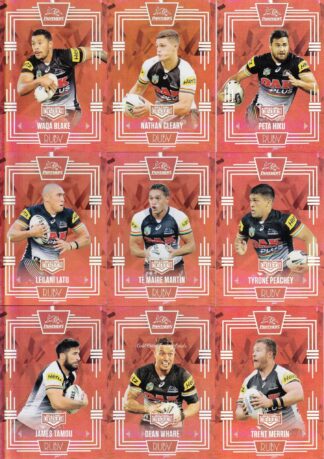 2017 NRL Elite Ruby Mojo Set - Penrith Panthers Team Set