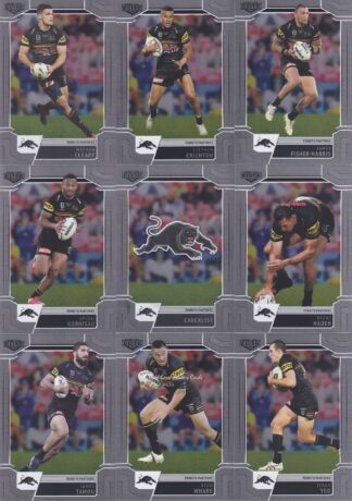2020 NRL Elite Silver Special Team Set - Penrith Panthers