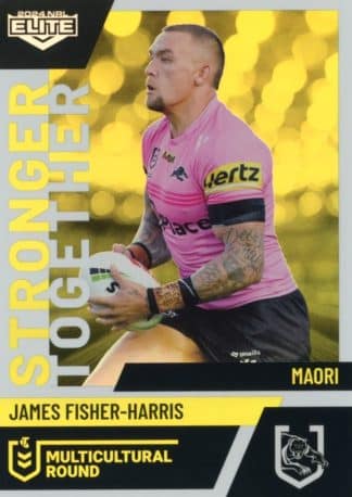 2024 NRL Elite Multicultural Round - MC23 James Fisher-Harris Penrith Panthers