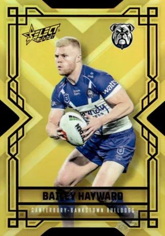 2026 NRL League Heroes Colours Die-Cut Gold - CDG030 Bailey Hayward Canterbury Bulldogs
